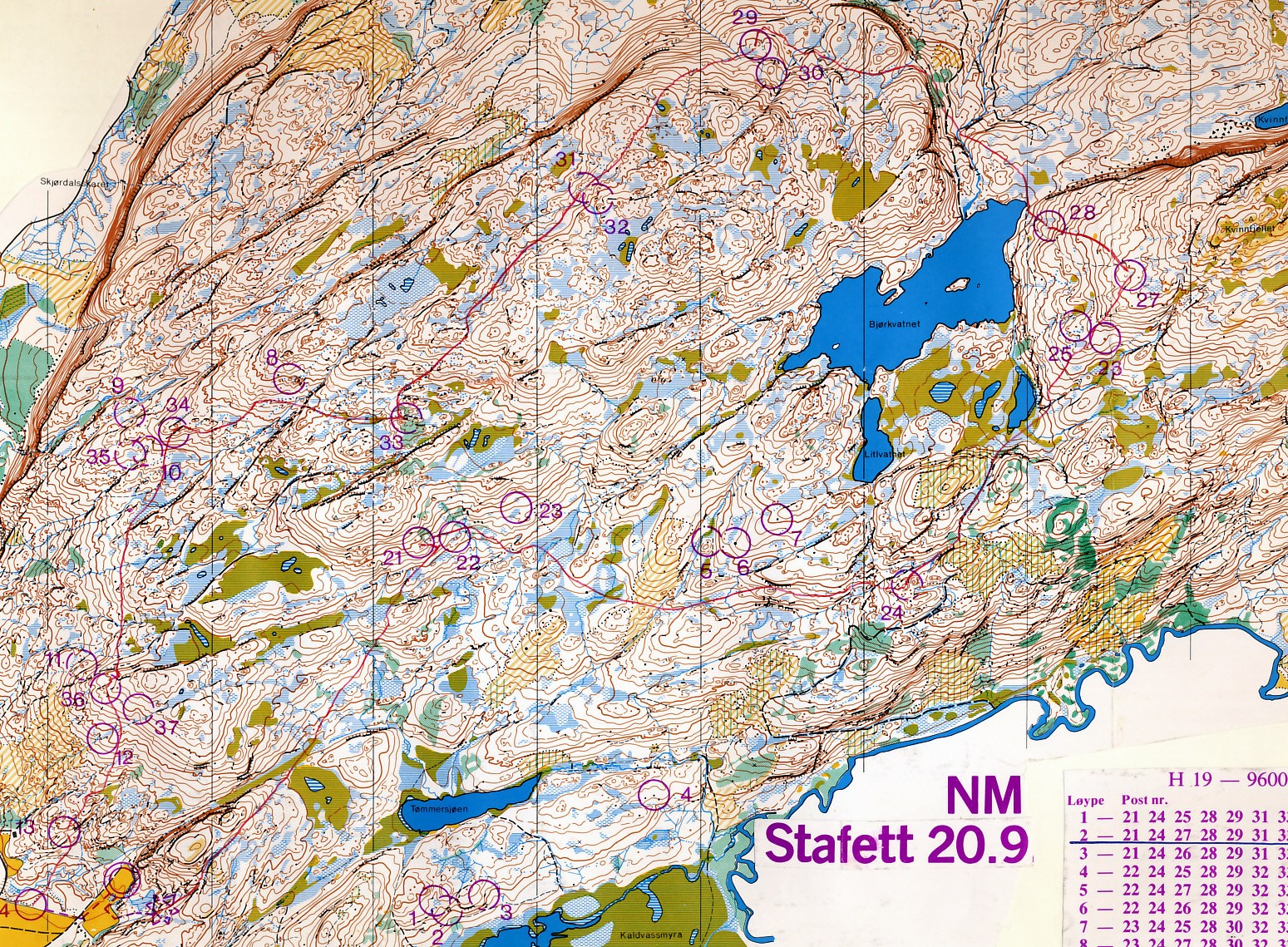NM stafett, Verdal (1981-09-21)