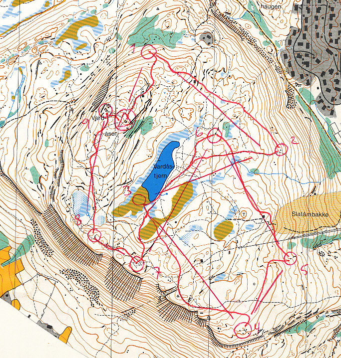 Vardåsen, askergakk (21-10-1984)