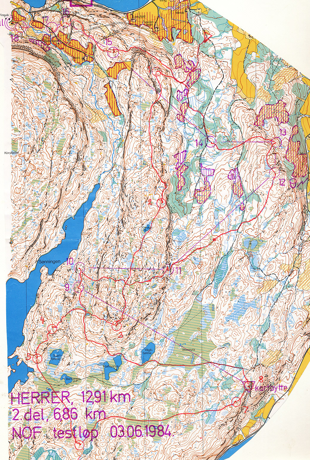 Landskamp uttaksløp Skøynar (29-05-1984)