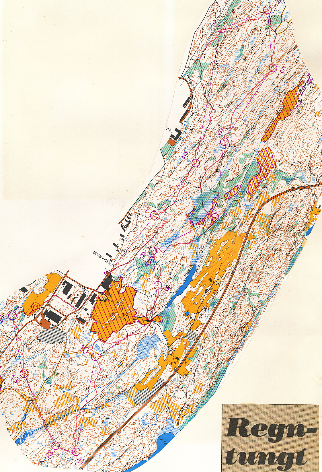 Solostafetten, Kolbotn (1980-06-29)