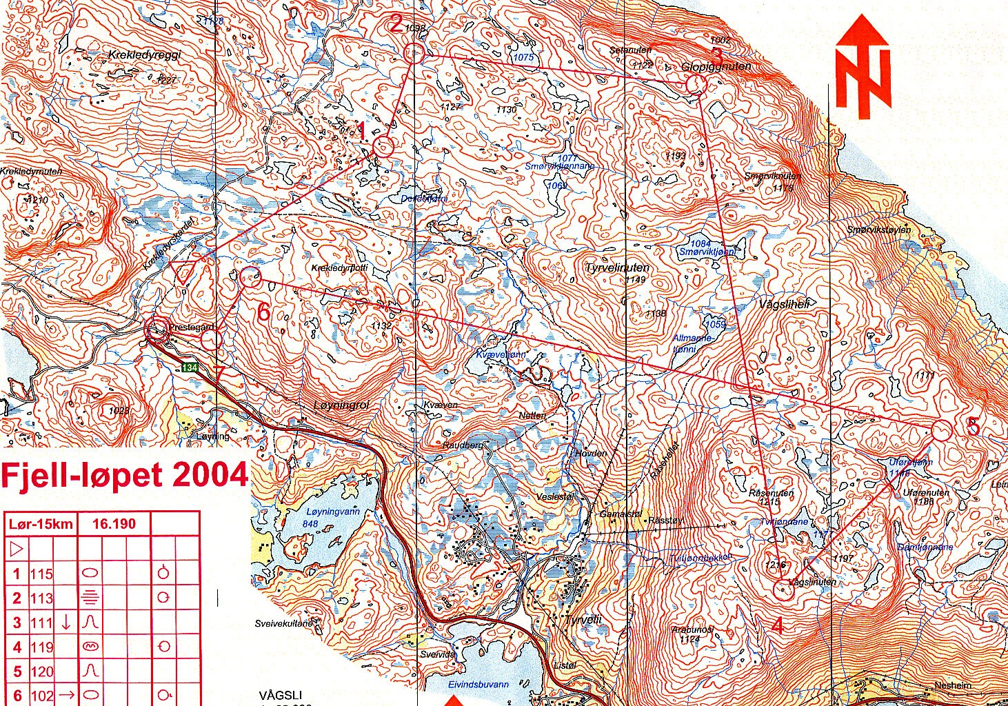 Vinje fjell-løp (04-07-2004)