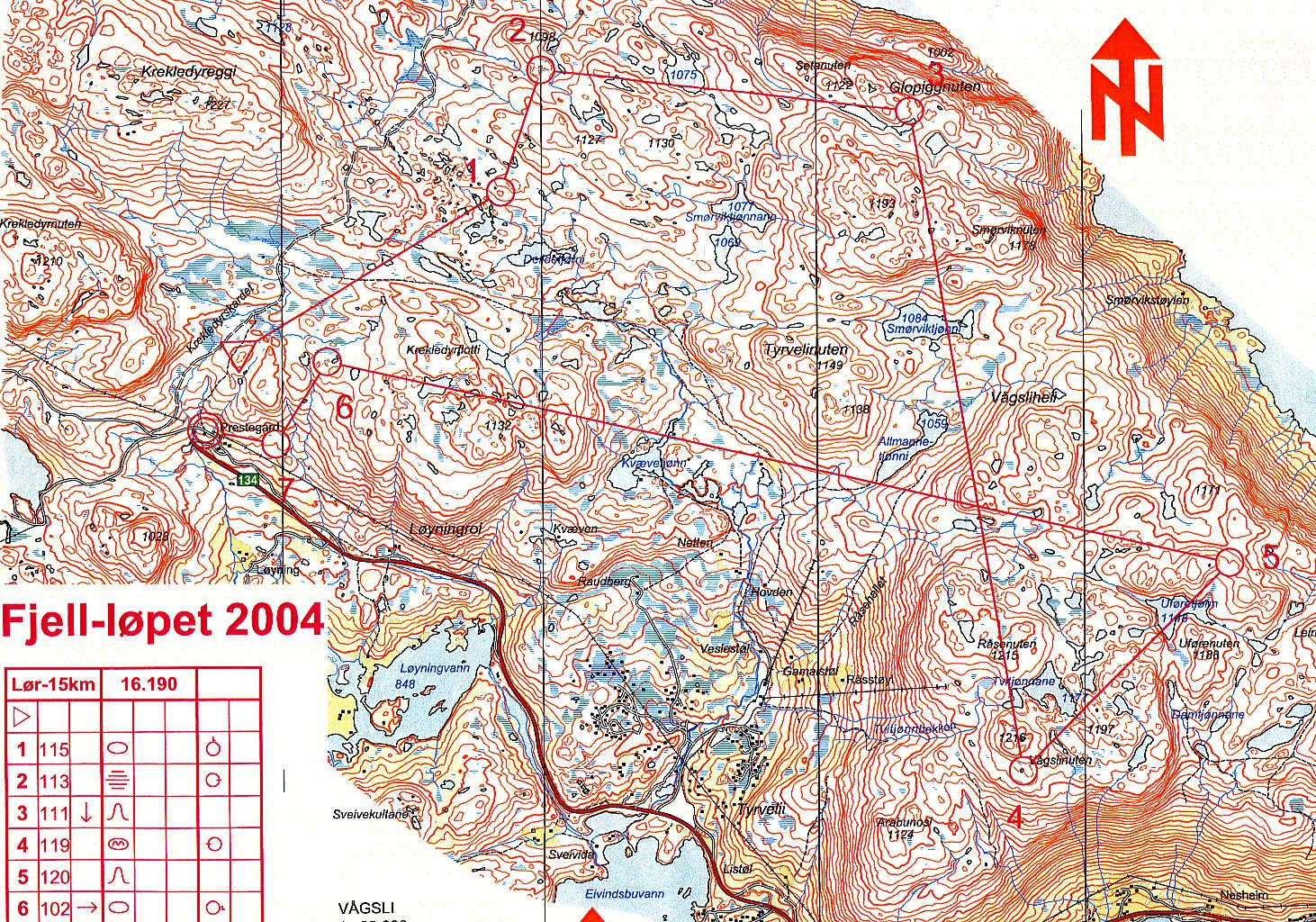 Vinje fjell-løp (04/07/2004)