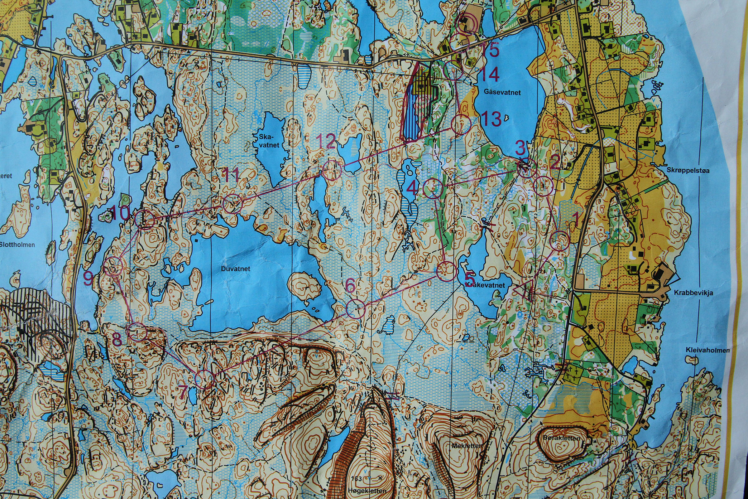 Fjord-o løp2 (31.07.2014)